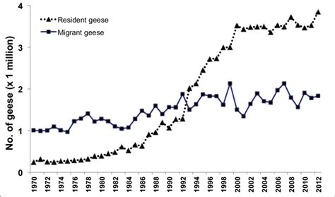 canada goose quality decline